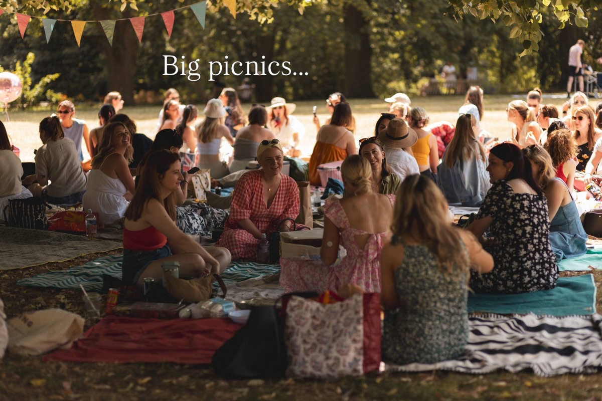 Summer picnics in the park